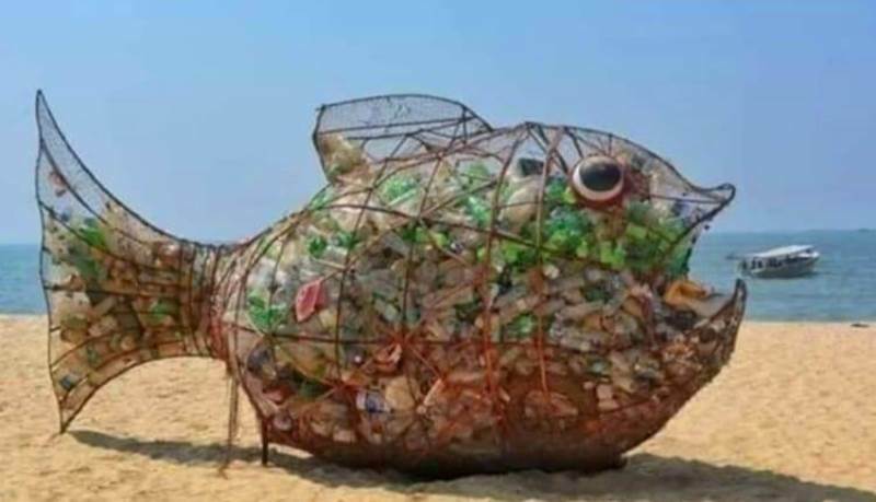 pesci mangia plastica palmi