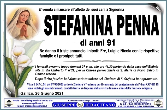 PENNA STEFANINA