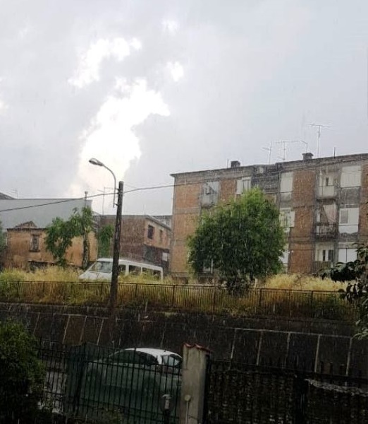 Pioggia cinquefrondi