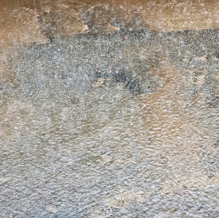 Pioggia cinquefrondi