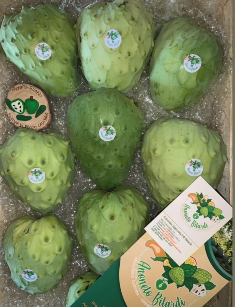 anoneto bilardi a catona reggio calabria