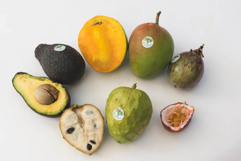 anoneto bilardi a catona reggio calabria