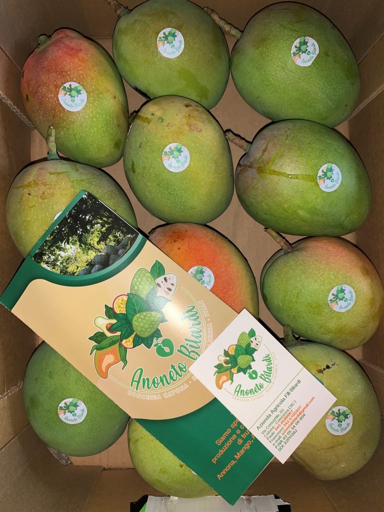 anoneto bilardi a catona reggio calabria