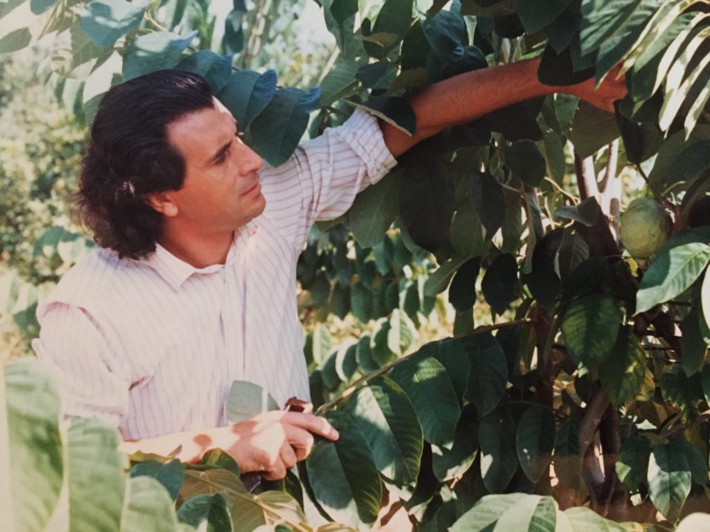 anoneto bilardi a catona reggio calabria