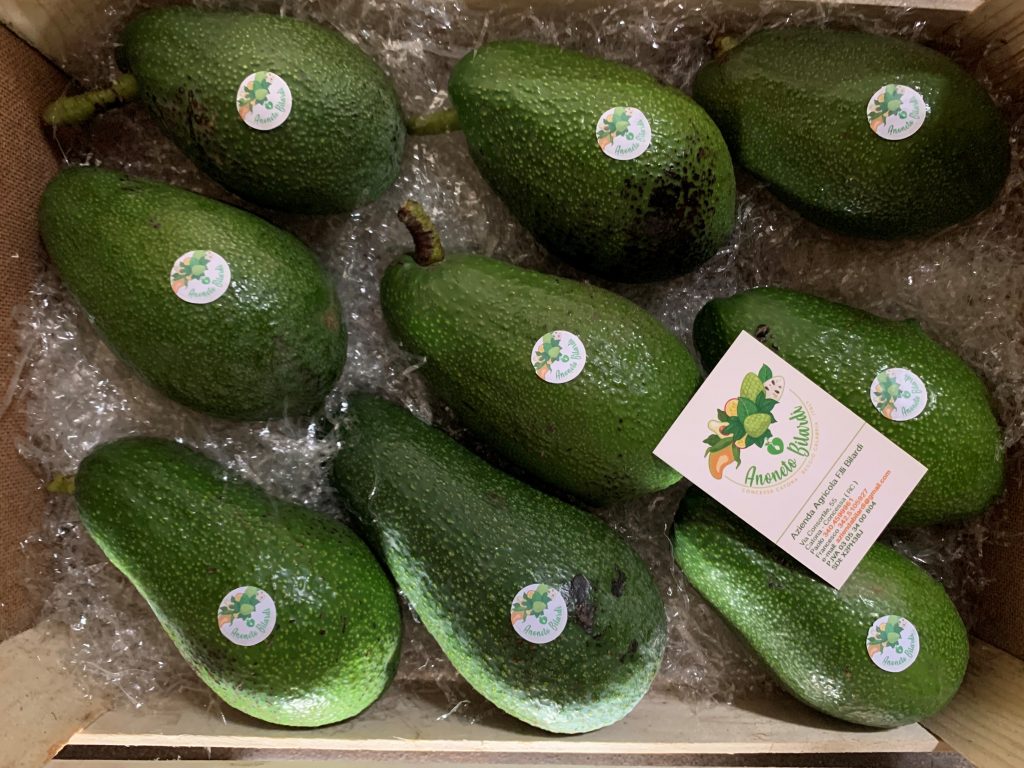 anoneto bilardi a catona reggio calabria