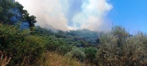 Incendio Naso