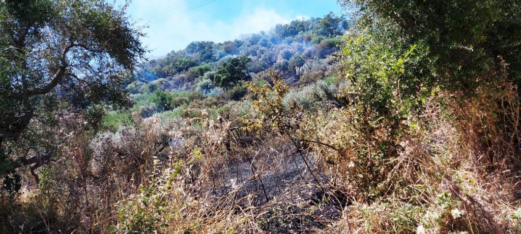 Incendio Naso