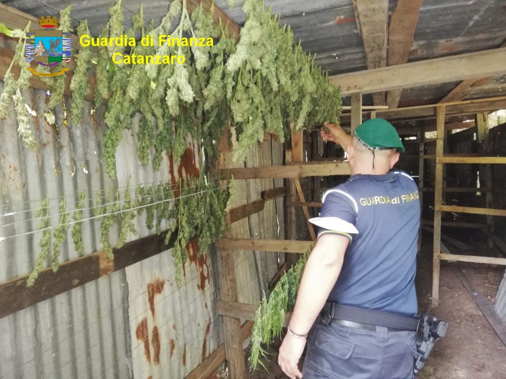 Sequestro piante droga