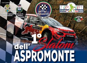 Slalom dell'Aspromonte