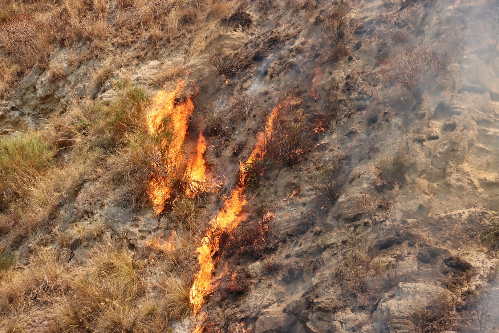 incendio oliveto 30 luglio 2021 (25)