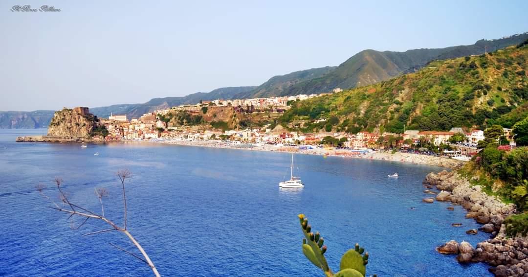 scilla dall’alto (3)