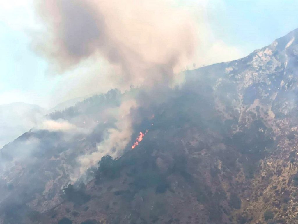 Incedio aspromonte 7 agosto