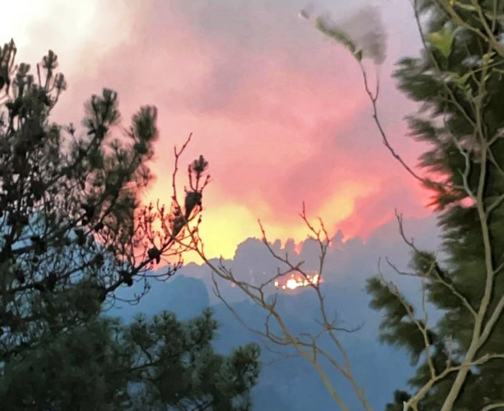 Incedio aspromonte 7 agosto