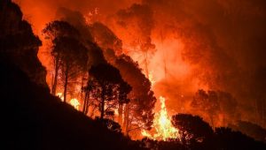 Incendio in Calabria