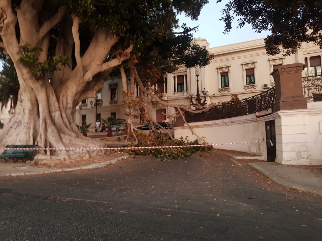 Ramo albero si stacca in via marina di Reggio Calabria (1)