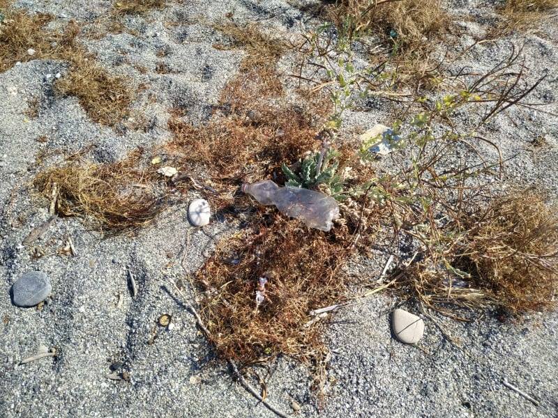Spazzatura spiaggia Saline