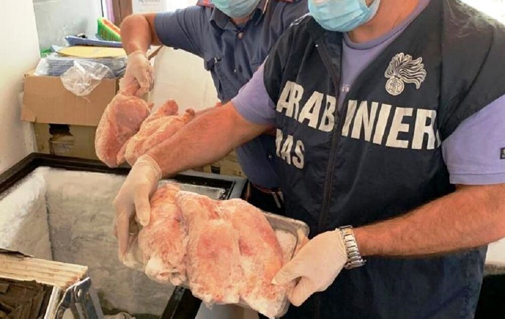 carabinieri nas sequestro carne pesce