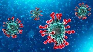 coronavirus