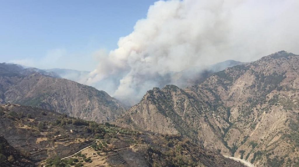 incendio area grecanica