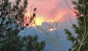 incendio aspromonte
