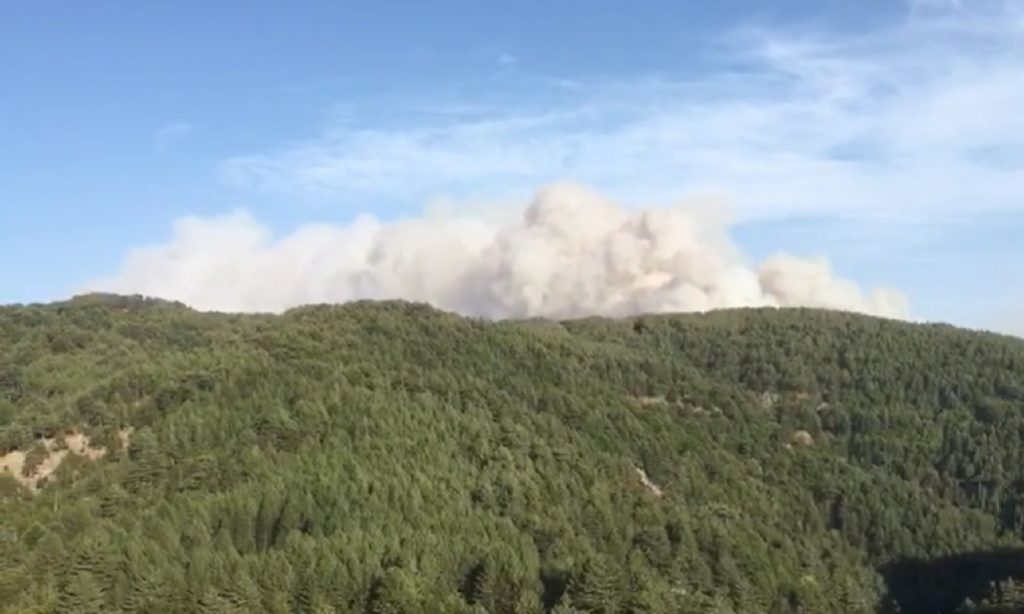 incendio cascate dell'amendolea