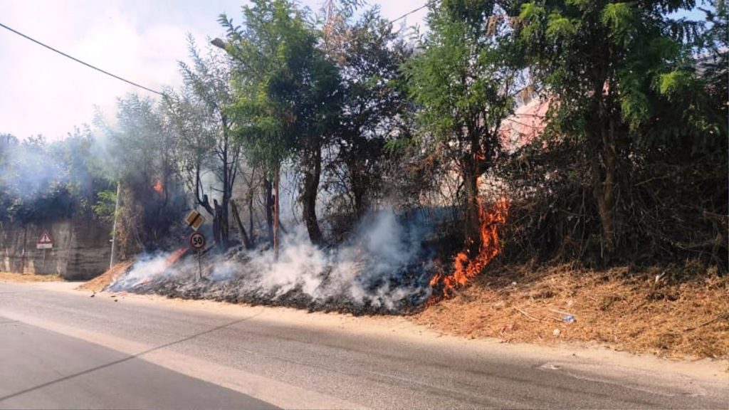 incendio cinquefrondi