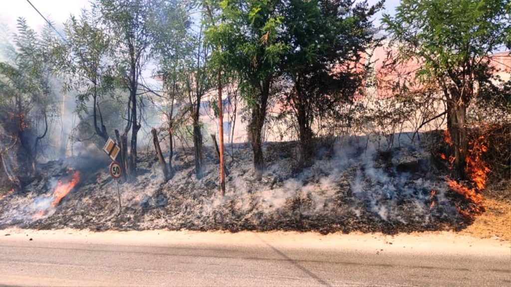 incendio cinquefrondi