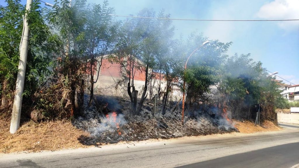 incendio cinquefrondi