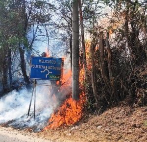 incendio cinquefrondi