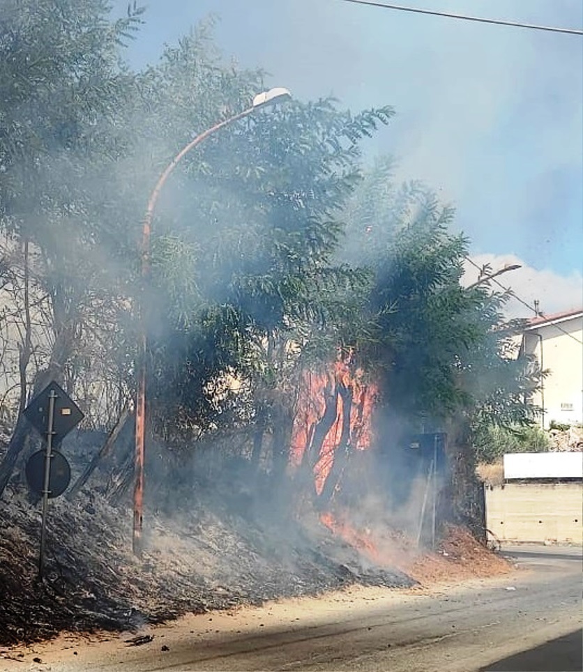 incendio cinquefrondi