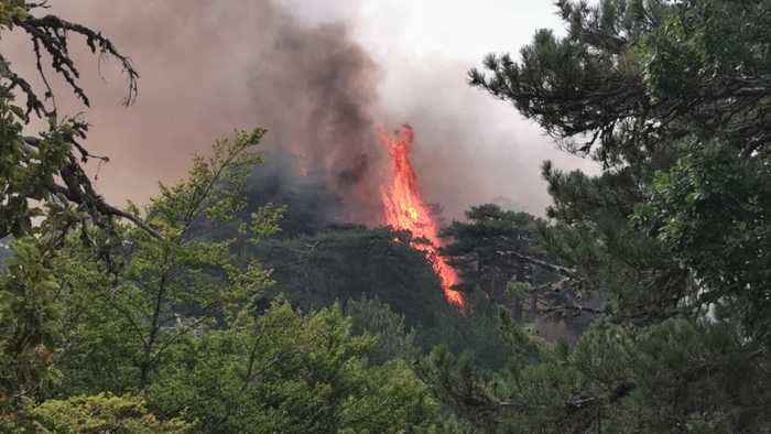 Dramma incendi in Calabria, atto di accusa e appello ai candidati alle Regionali: "si faccia chiarezza su appalti flotta aerea antincendi e Piano AIB, favorite illegalmente ditte private" - Vimarsana News
