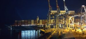 Msc Gulsum