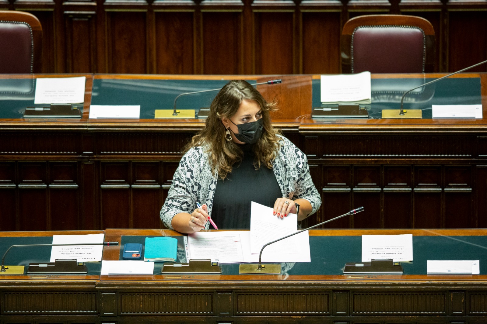 Nesci alla Camera 1