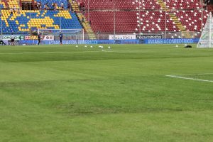 Reggina-Spal manto erboso Granillo