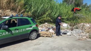 carabinieri forestali