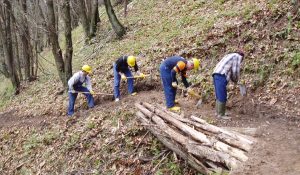 dipendenti forestali