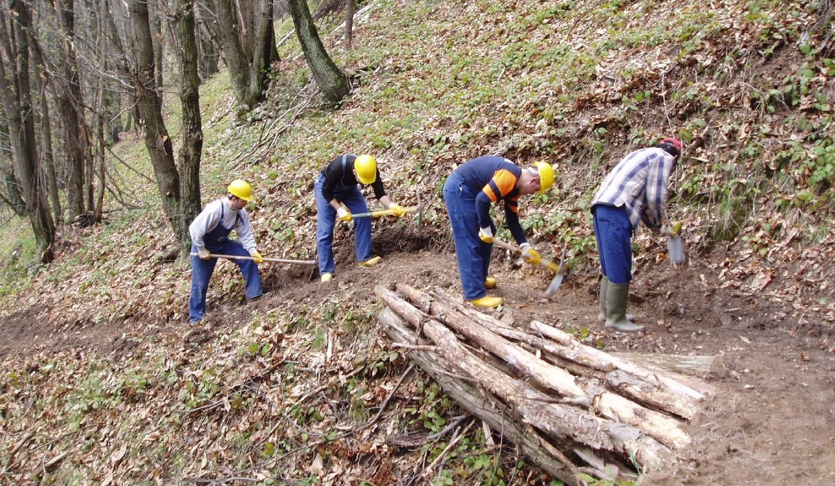 dipendenti forestali
