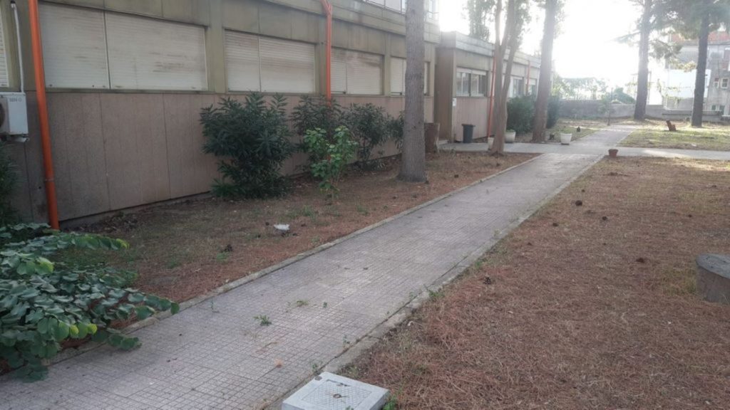scerbatura scuola