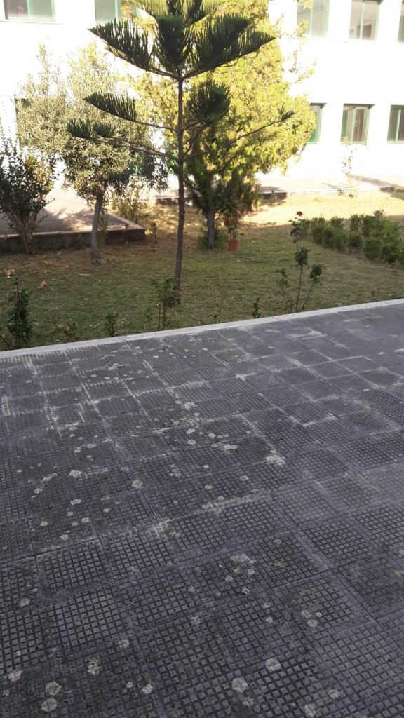 scerbatura scuola