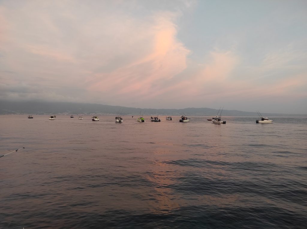 Acque stretto di messina