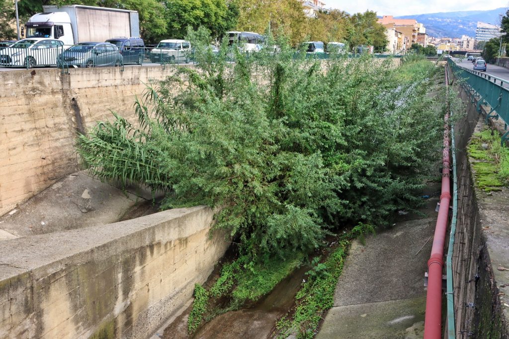 Sterpaglie Torrente Calopinace Reggio Calabria