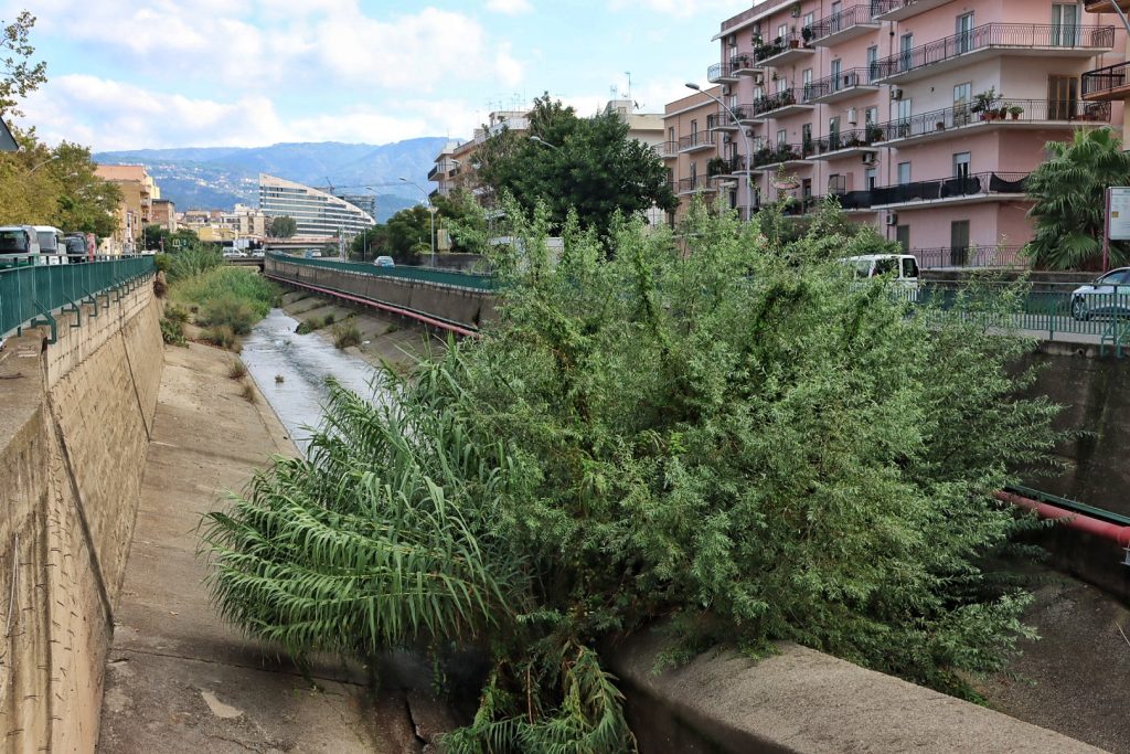 Sterpaglie Torrente Calopinace Reggio Calabria