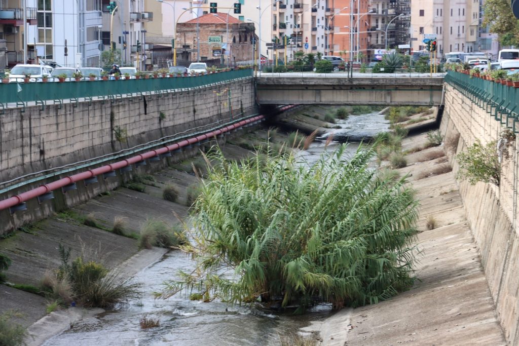 Sterpaglie Torrente Calopinace Reggio Calabria