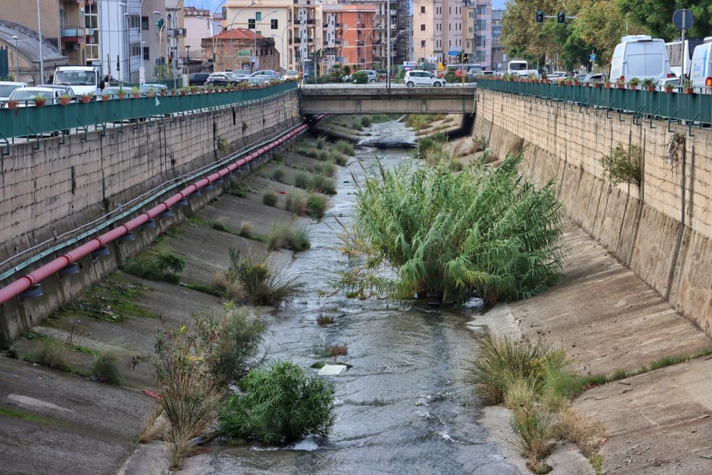 Sterpaglie Torrente Calopinace Reggio Calabria