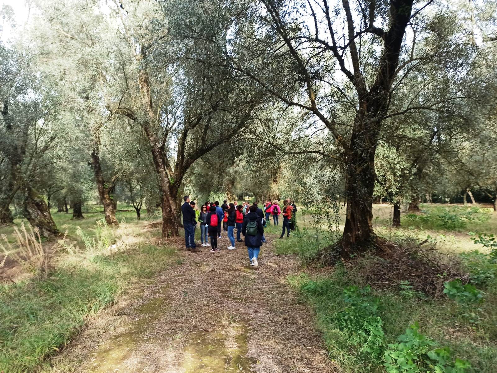 camminata (3)