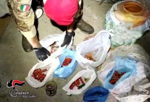 carabinieri molochio reggio calabria