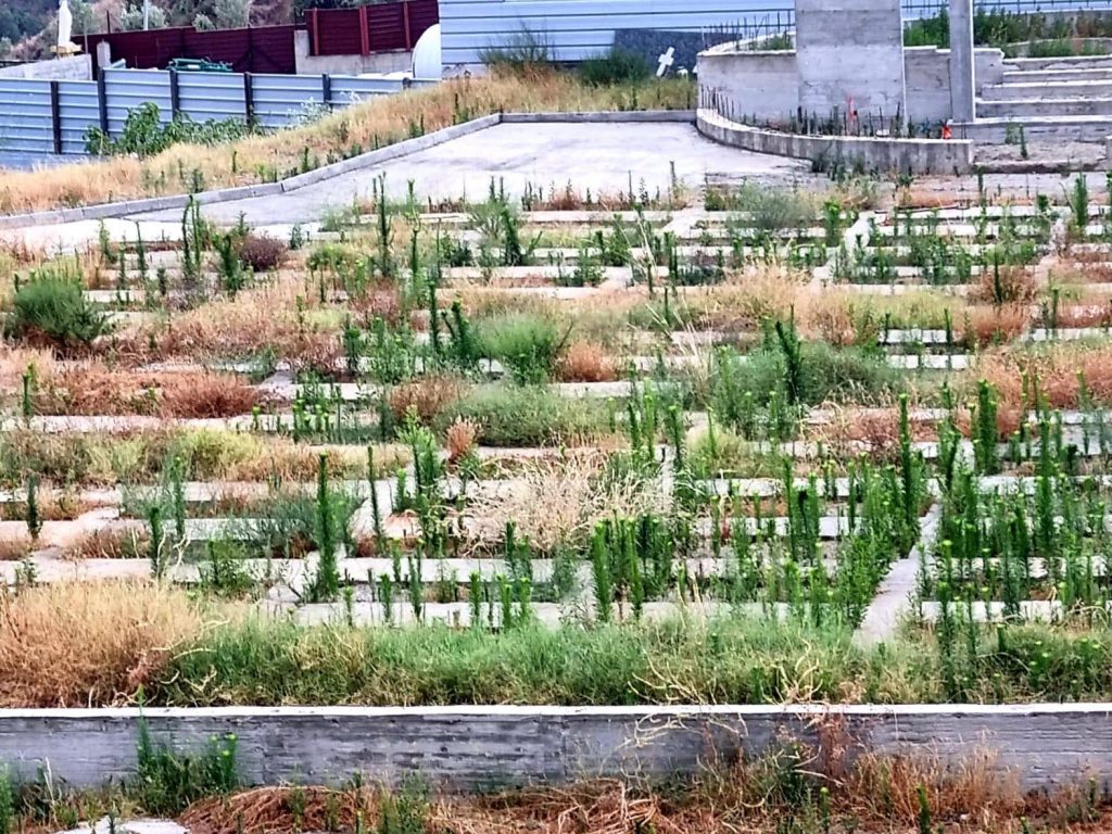 degrado cimiteri reggio calabria
