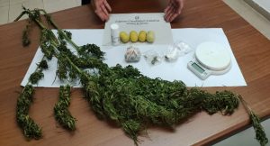 marijuana petronà