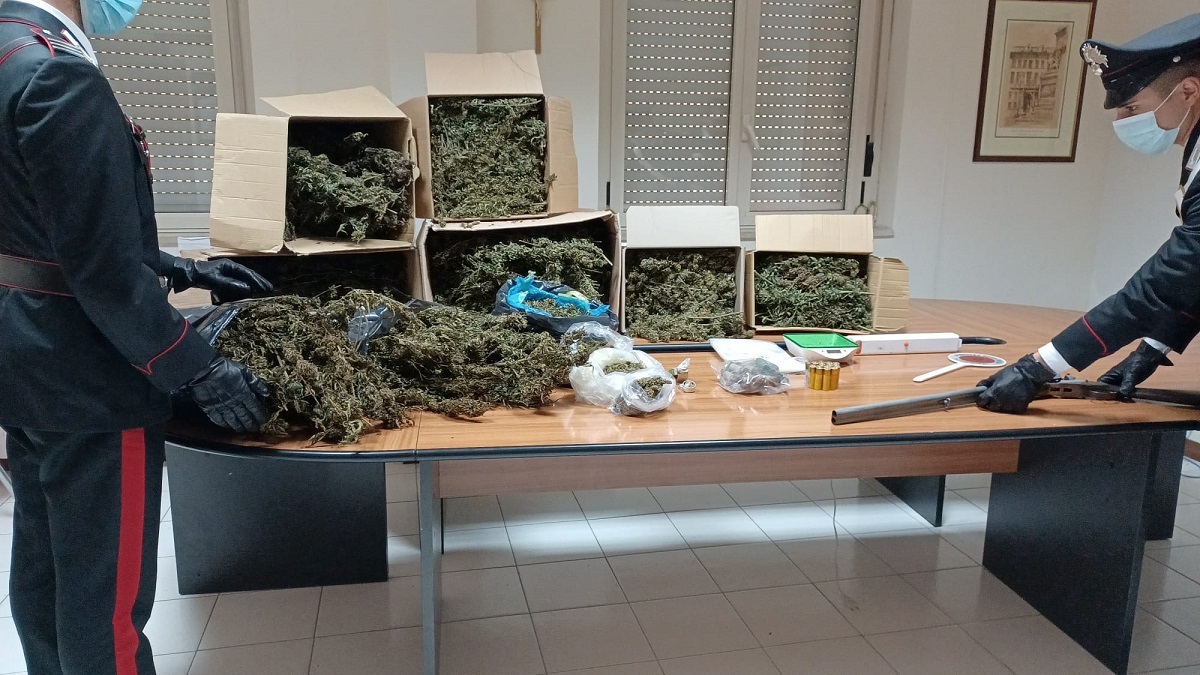 Marijuana Jacurso
