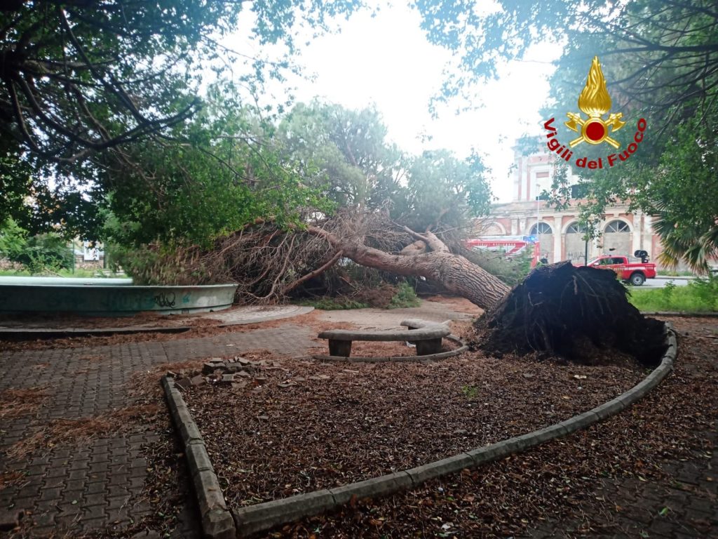 Milazzo albero sulla carreggiata (1)